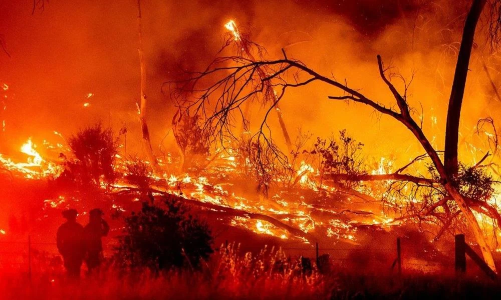 Θεσπρωτία: Πυρκαγιά στον Άγιο Αρσένιο Φιλιατών - Υπάρχουν κατοικίες στην περιοχή